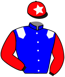 Casaque du n°1 — LADY MANA