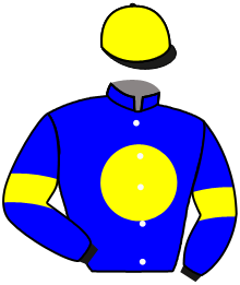 Casaque du n°2 — GREY REIGN