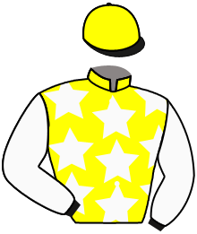 Casaque du n°10 — A BEAUREGARD