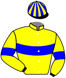Casaque du n°7 — MIGHTY BOY