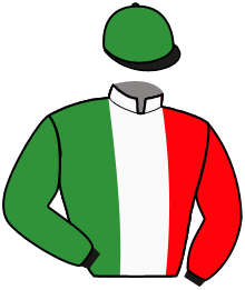 Casaque du n°2 — BEAUTIFOAL