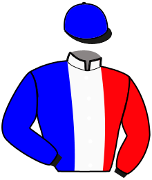 Casaque du n°5 — PINYA