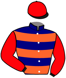 Casaque du n°12 — JANNIG D'EREVAN