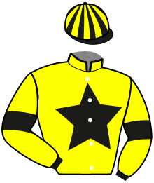 Casaque du n°11 — JAKA DU RUEL