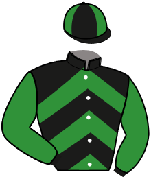 Casaque du n°1 — JADOR JOSSELYN
