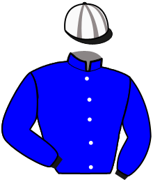 Casaque du n°15 — INITIALE LILA
