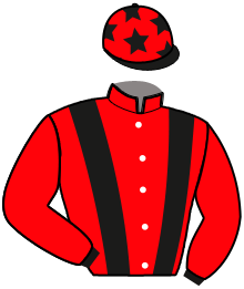 Casaque du n°15 — LADY MAJOR