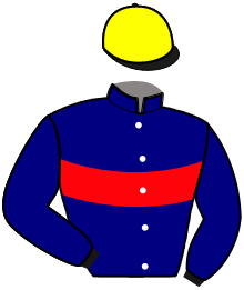 Casaque du n°3 — NEW HAVEN WOOD