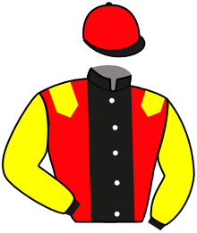 Casaque du n°11 — NIGHT LILOMA