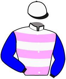 Casaque du n°2 — NACREE DE QUARO