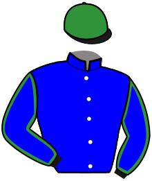 Casaque du n°4 — LUTIN DE LA BESVRE