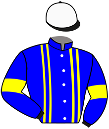Casaque du n°4 — MAROUBRA