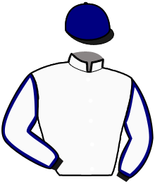 Casaque du n°8 — MAJESTE DU MENIL
