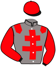 Casaque du n°9 — MAM'ZELLE FRO