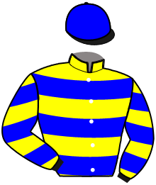 Casaque du n°10 — MERCURY JIEL
