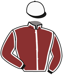 Casaque du n°3 — MASTER PIT