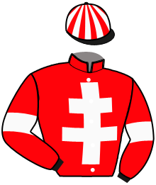 Casaque du n°5 — LE VENT DU HOULET