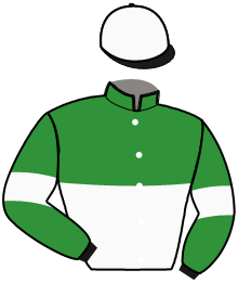 Casaque du n°14 — KORONA DU CHIFFRES