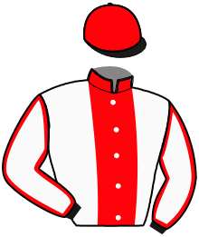 Casaque du n°7 — HORSE DE GRAMMONT