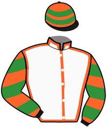 Casaque du n°9 — JULIANO STILE