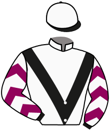 Casaque du n°1 — LAETIBEY