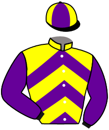 Casaque du n°3 — DALMORA
