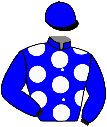 Casaque du n°2 — YOHIO