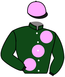 Casaque du n°3 — DOLLAR DES BOIS
