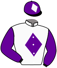 Casaque du n°2 — MOND LADY
