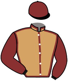 Casaque du n°5 — MILIA