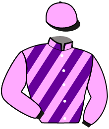 Casaque du n°1 — OBELLA DES BORDES