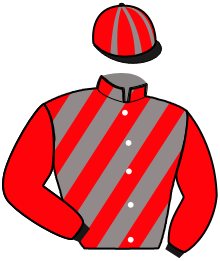 Casaque du n°4 — ODESSA DELAGOB