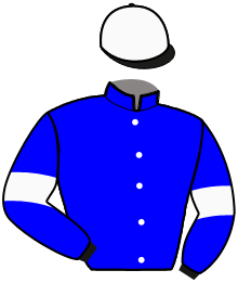 Casaque du n°11 — NASCO DE MIRE