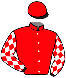 Casaque du n°9 — NICKEL DE VILLABON
