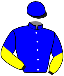 Casaque du n°11 — NAVARO FLIGNY