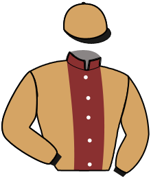 Casaque du n°12 — NIL D'AUTHION
