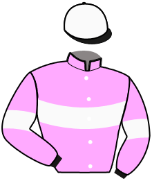 Casaque du n°2 — NECTAR DE FOUQUE