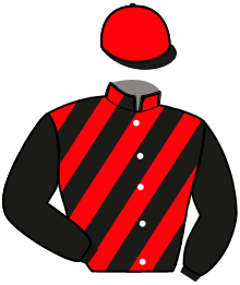 Casaque du n°11 — MADE IN PIERJI