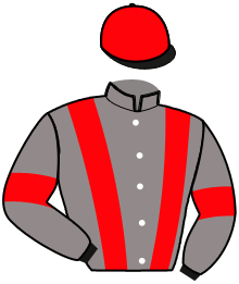Casaque du n°13 — MISTER CASTELLE