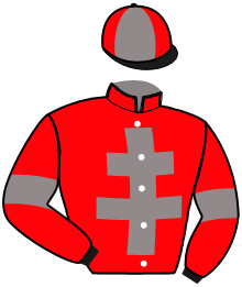 Casaque du n°14 — MOULIN DU HIDOUX
