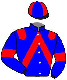 Casaque du n°1 — MERVEILLE DESTINEE
