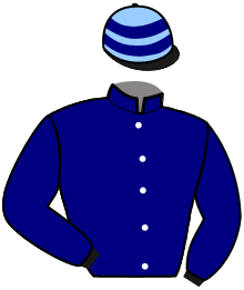 Casaque du n°14 — MISTRIA DU RU