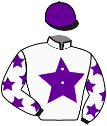 Casaque du n°10 — MAESTRIA DU PARC
