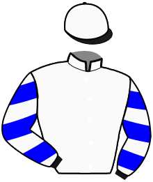 Casaque du n°4 — INSERT BOY