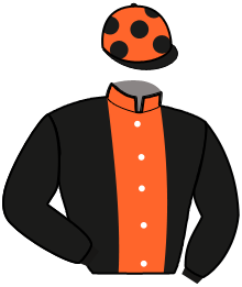 Casaque du n°7 — ITALICA