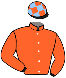 Casaque du n°8 — IGNACE GUENESERIE