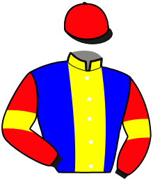 Casaque du n°1 — JERRY DE BRAYE