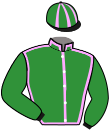 Casaque du n°13 — JORGE ARTHUR