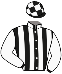 Casaque du n°9 — IMPERIAL BACK