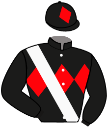 Casaque du n°11 — HAARICIA